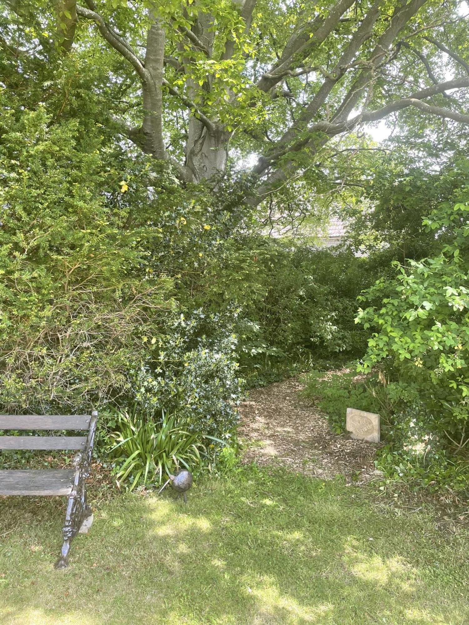 The Mount Somerton Retreat - Nr Bruton, Glastonbury, The Spectacular Wells Cathedral, Millfield School, Leonardo Helicopters, Yeovilton מראה חיצוני תמונה