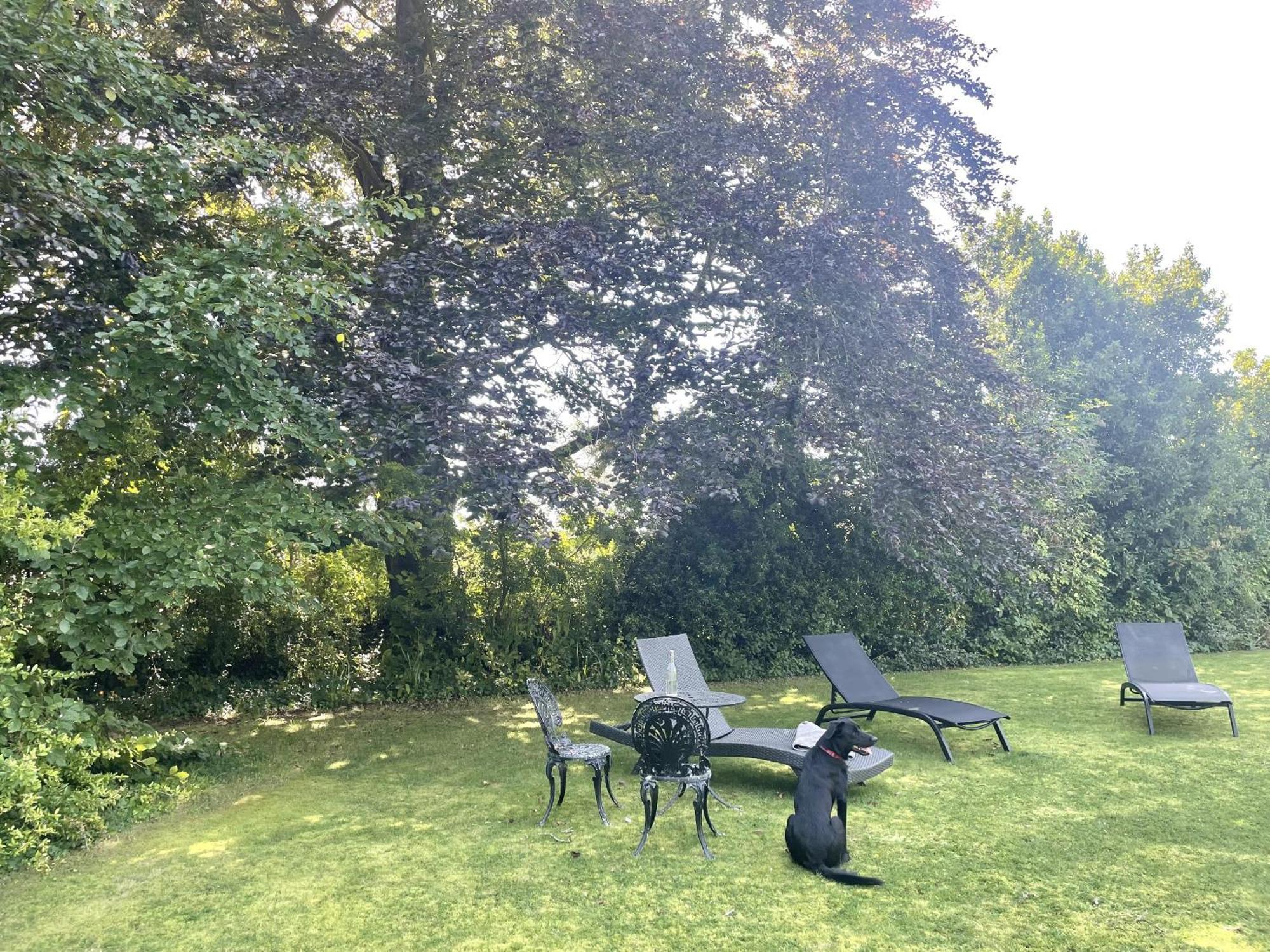 The Mount Somerton Retreat - Nr Bruton, Glastonbury, The Spectacular Wells Cathedral, Millfield School, Leonardo Helicopters, Yeovilton מראה חיצוני תמונה